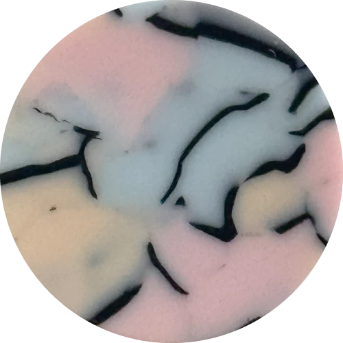 Disc Resin Rose
